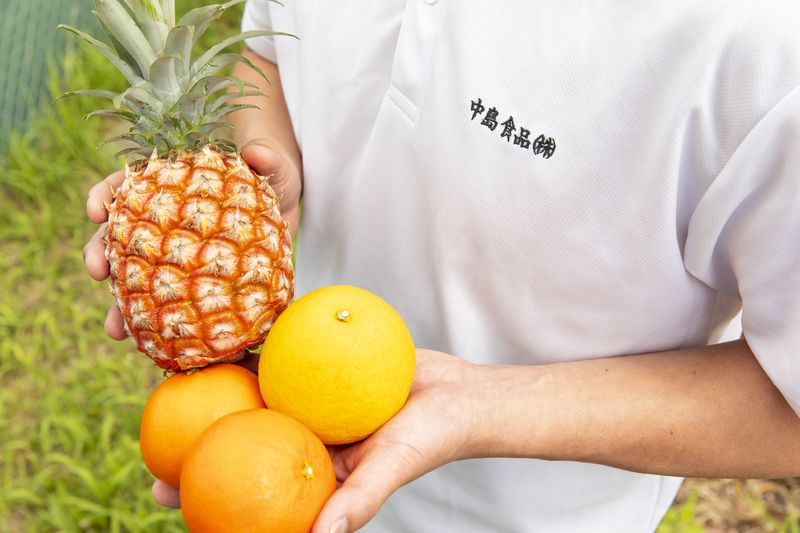 国産四季折々の果物で、学校給食に彩りを